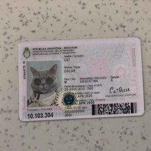 Argentina Identity Card Template