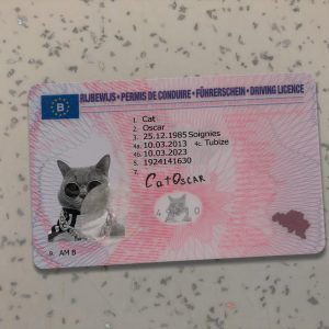 Belgium Driver License Template