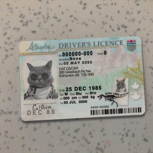 Canada Alberta Driver License Template