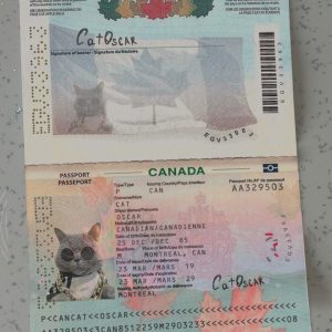 Canada Passport Template