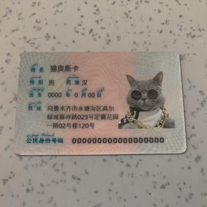 China Identity Card Template