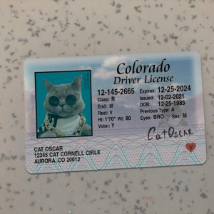 Colorado Driver License Template