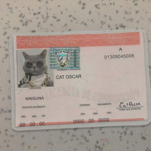 Cuba Driver License Template