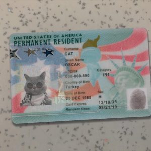 Green card USA Template
