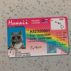 Hawaii Driver License Template