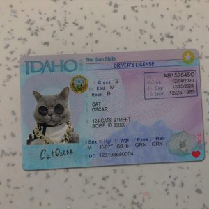 Idaho Driver License Template
