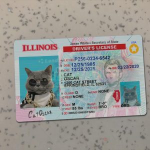 Illinois Driver License Template