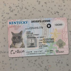 Kentucky Driver License Template