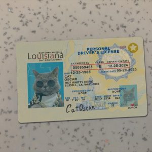 Louisiana Driver License Template