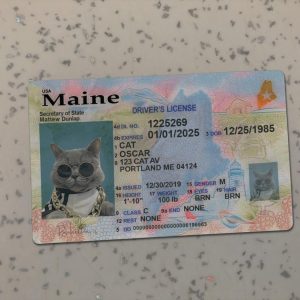 Maine Driver License Template