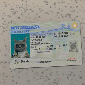Michigan Driver License Template