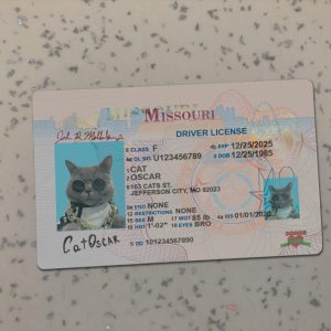 Missouri Driver License Template