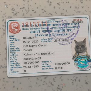 Nepal Driver License Template
