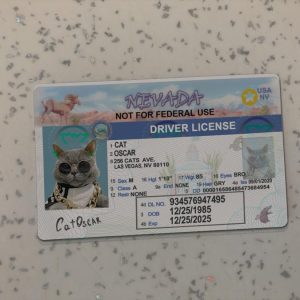 Nevada Driver License Template