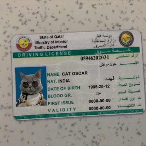 Qatar Driver License Template