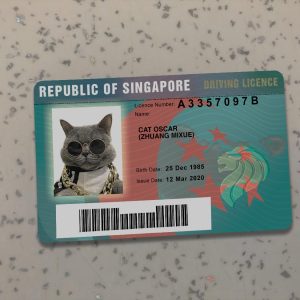 Singapore Driver License Template