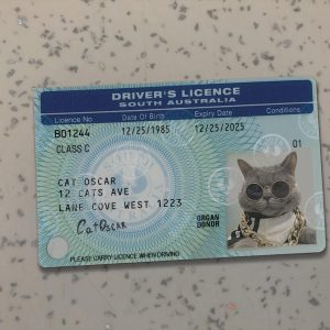 South Australia Driver License Template