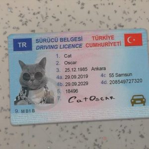 Turkey Driver License Template
